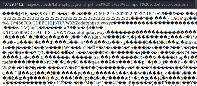 Python3 reverse shell command